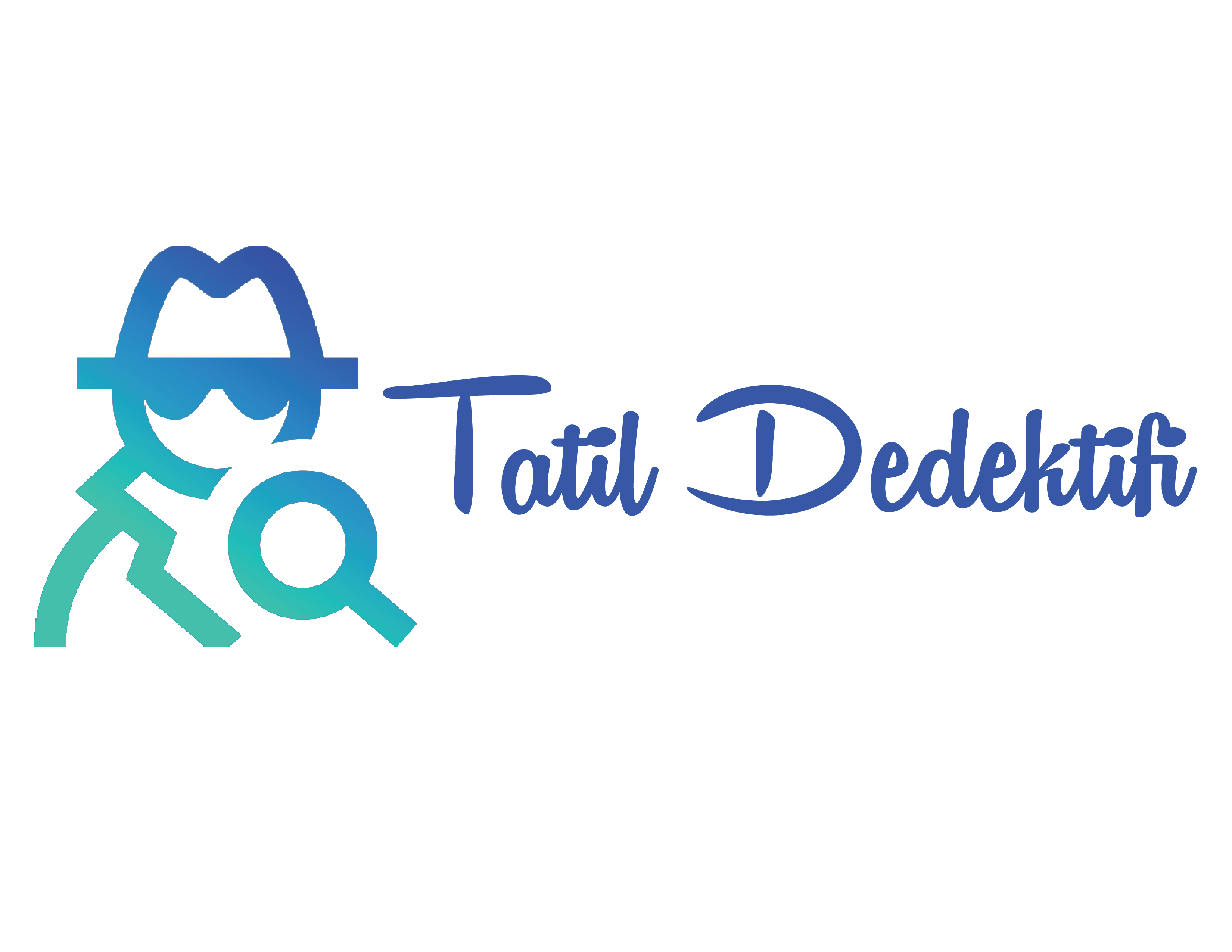 Tatil Dedektifi